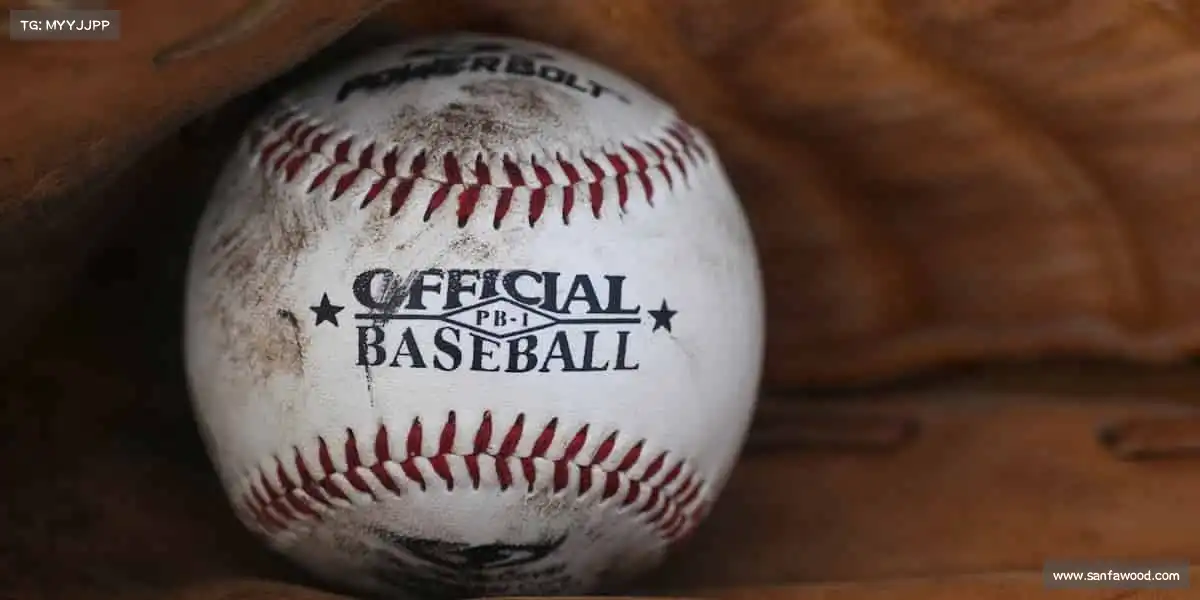 为什么选择我们